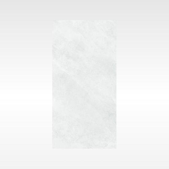 Ionic Silver 600×1200 Polish