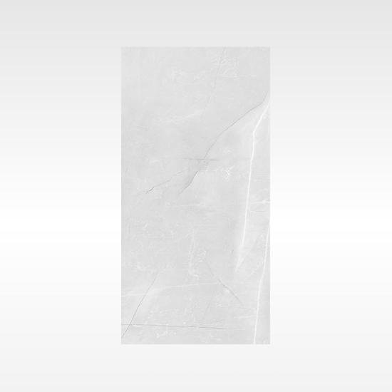 Vienna Grey 300×600 Polish