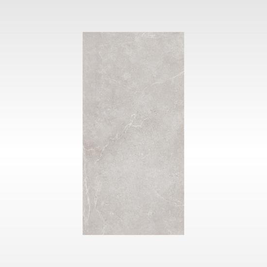 Diamond Silver 600×1200 Lappato