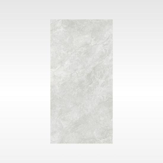 Everest Grey 600×1200 In&Out Solution
