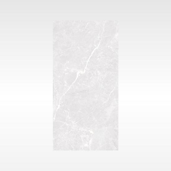 Apex Silver 300×600 Polish