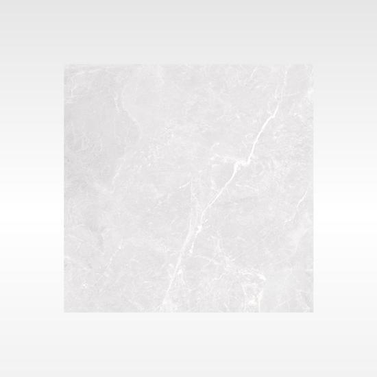 Apex Silver 600×600 Polish