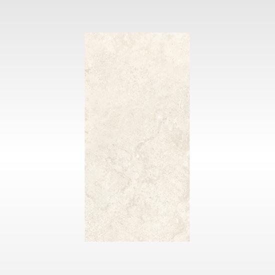 Flat-Alps Silver 300×600 In&Out Solution